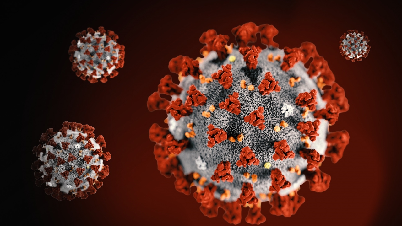 L’epidemiologia e la convivenza col virus