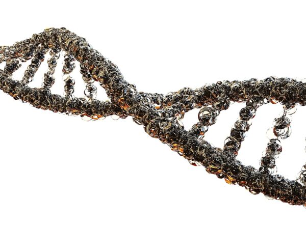 A luglio la COST Open Call 2026