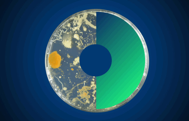 Al via il bando EUP OHAMR dedicato alla resistenza antimicrobica