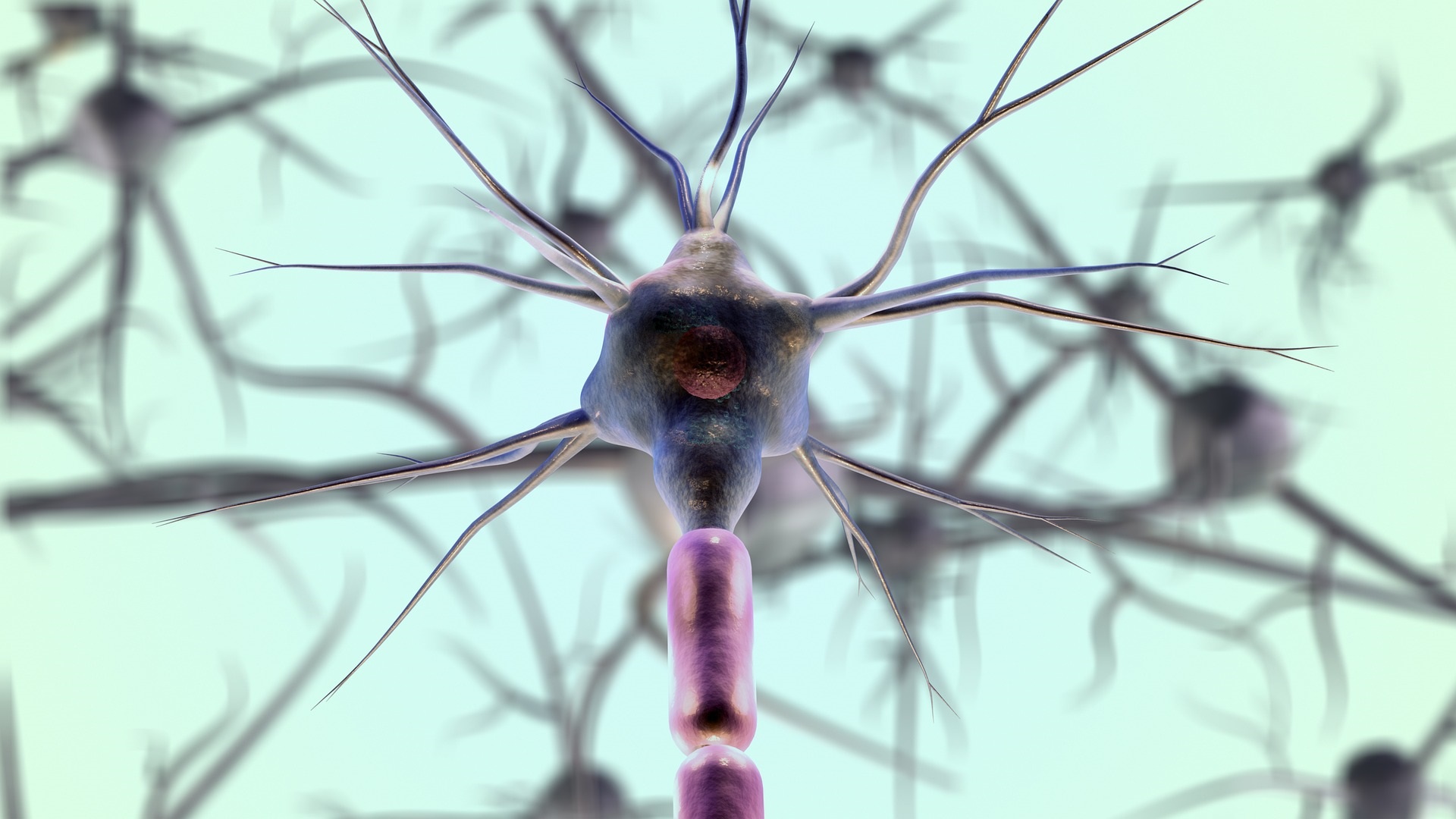 NADINE – Un progetto per proteggerci dalle malattie neurodegenerative