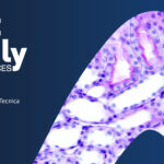 MIT4LS 2026: il 13 e 14 ottobre, ritorna l'evento flagship Cluster ALISEI
